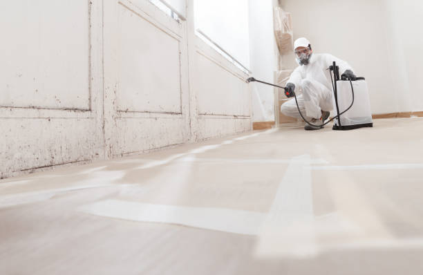 24/7 Emergency Mold Remediation experts in Melbourne, FL