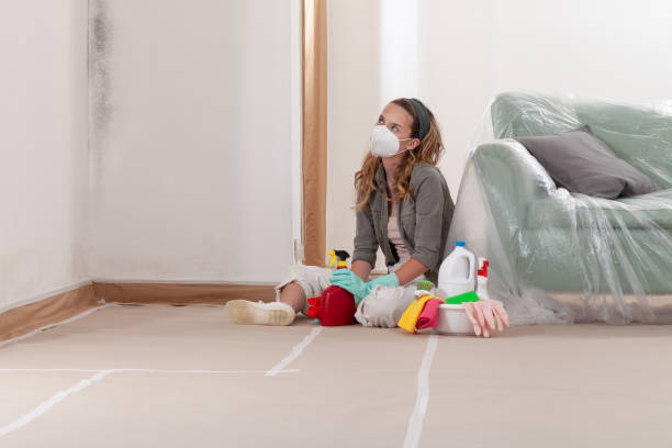 Reliable Mold Remediation contractor in Melbourne, FL by 24 Hour Mold Removal